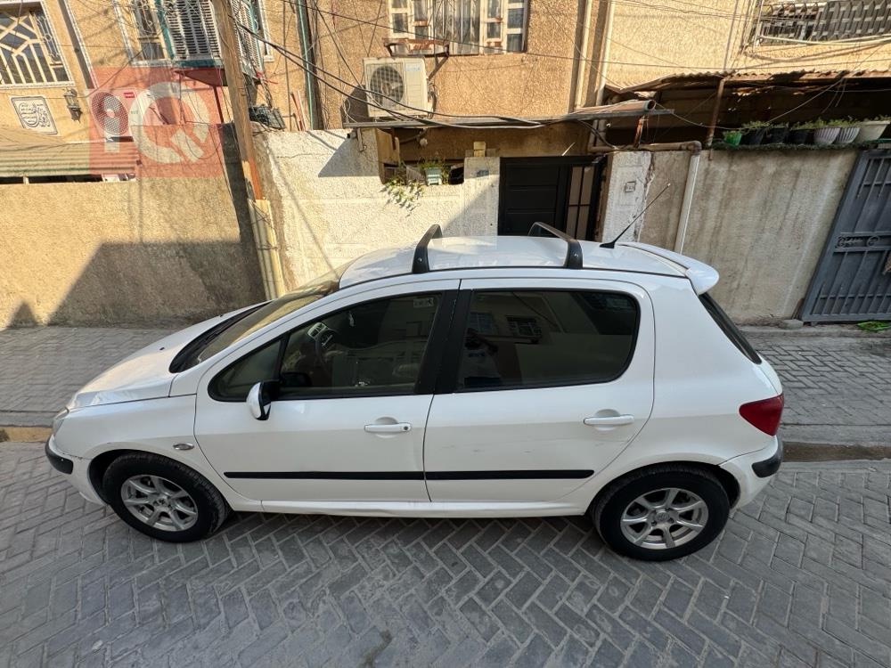 بیجۆ 307